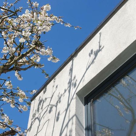 B&B Garden55 Mechelen Bagian luar foto